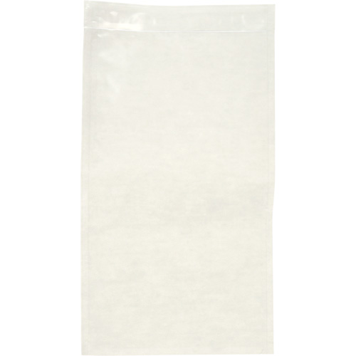 Non-Printed Packing List Envelope, 10" L x 5-1/2" W, Endloading Style Trail Hammer and Bolt