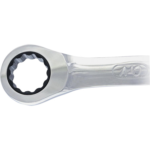Non-Reversing Ratcheting Combination Wrench Trail Hammer and Bolt