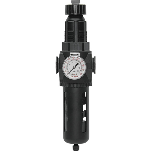 Modulair 400 Filter/Regulator with Manual Drain, 3/4" NPT, 200 psi, 9.1 fl. oz. Capacity Trail Hammer and Bolt