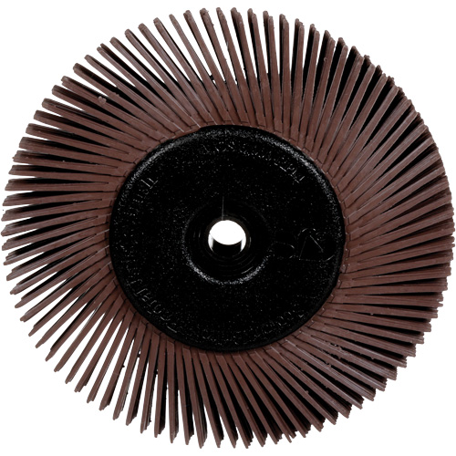 Brosses radiales bristle pour meuleuses d'&eacute;tabli, Grain 36X, 6" dia. Trail Hammer and Bolt