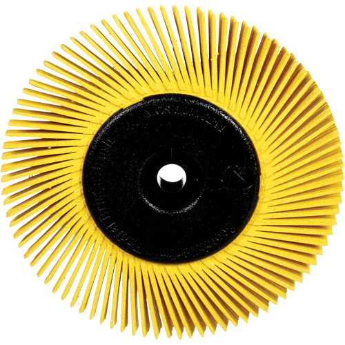 Brosses radiales bristle pour meuleuses d'&eacute;tabli, Grain 80X, 6" dia. Trail Hammer and Bolt