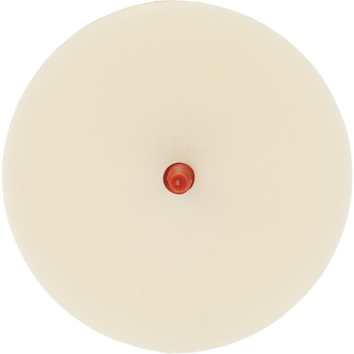 Scotch-Brite Moulding Adhesive & Stripe Removal Disc, 7501, 4" Dia. Trail Hammer and Bolt