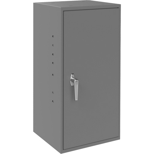 Armoires utilitaires, Acier, 2 Tablettes, 30" h x 13-3/4" la x 12-3/4" P, Gris Trail Hammer and Bolt