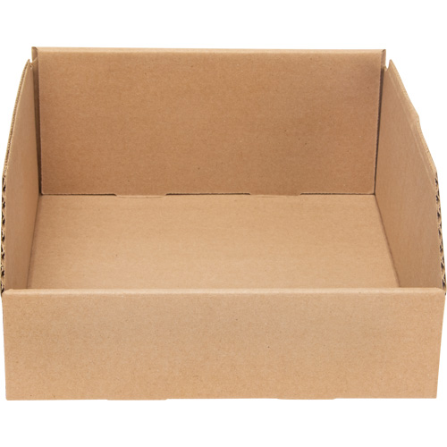 Boîtes profondes en carton ondul&eacute;, 9-3/4" la x 11-1/4" p x 4-1/2" h, Beige Trail Hammer and Bolt