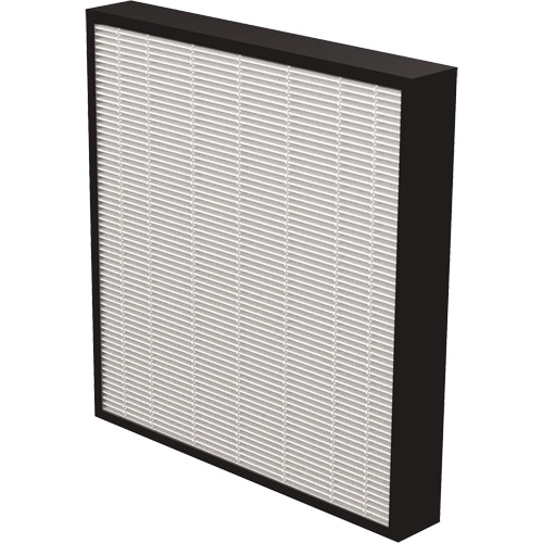 AeraMax&reg; Pro AM3 & AM4 2" True HEPA Filter, Box, 13.75" W x 2.25" D x 14.38" H Trail Hammer and Bolt