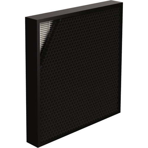 AeraMax&reg; Pro AM3 & AM4 Hybrid 2" Filter, Box, 14" W x 2.25" D x 14.38" H Trail Hammer and Bolt