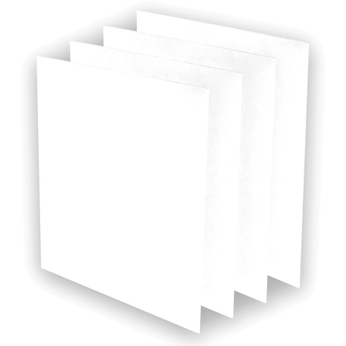 AeraMax&reg; Pro AM3 or AM4 Pre-Filters, 13.75" W x 0.13" D x 14.38" H Trail Hammer and Bolt