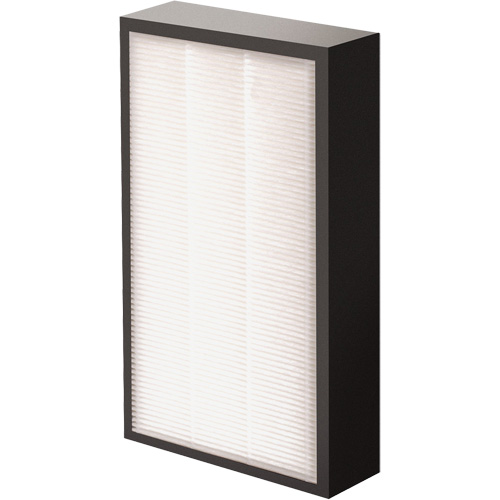 AeraMax&reg; Pro AM2 1-3/4" True HEPA Filter, Box, 7.38" W x 1.88" D x 12.88" H Trail Hammer and Bolt