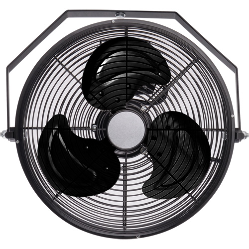 Industrial Workstation Fan, Industrial, 3 Speed, 12" Diameter Trail Hammer and Bolt