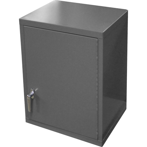 Armoire murale, 27" h x 13-11/16" la x 18" p, 2 tablettes, Acier, Gris Trail Hammer and Bolt