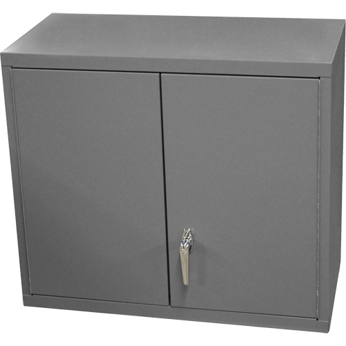 Armoire murale, 27" h x 13-11/16" la x 35-7/8" p, 2 tablettes, Acier, Gris Trail Hammer and Bolt