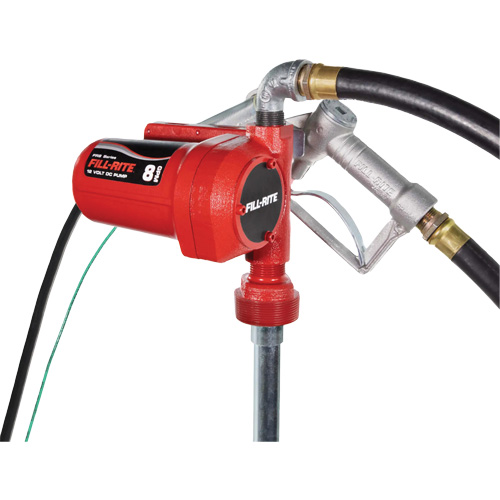 12V DC Fuel Transfer Pump with Nozzle Trail Hammer and Bolt