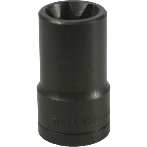 Douille Torx&reg; E-20 Trail Hammer and Bolt