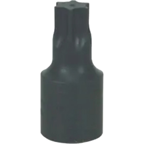 Grand embout Torx&reg; T-70 Trail Hammer and Bolt