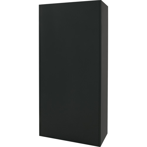 Armoire de rangement combin&eacute;e, 36" la x 18" p x 72" h, Noir Trail Hammer and Bolt