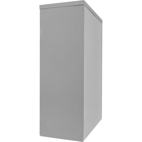 Armoire de rangement &agrave; hauteur de comptoir, Acier, 2 Tablettes, 42" h x 30" la x 15" P, Gris Trail Hammer and Bolt