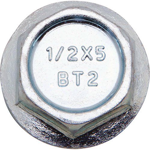 Wedge Bolts, Carbon Steel, 1/2" x 6" Trail Hammer and Bolt