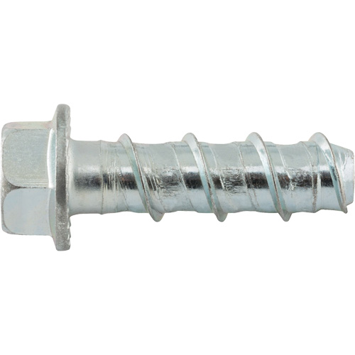 Wedge Bolts, Carbon Steel, 1/2" x 2" Trail Hammer and Bolt