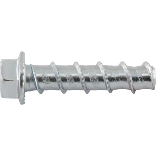 Wedge Bolts, Carbon Steel, 1/2" x 2-1/2" Trail Hammer and Bolt