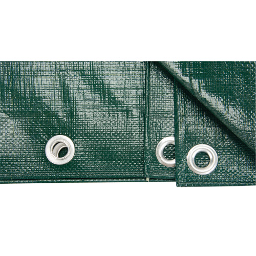 B&acirc;che, Robuste, Vert, 10' x 8' x 9 mils Trail Hammer and Bolt