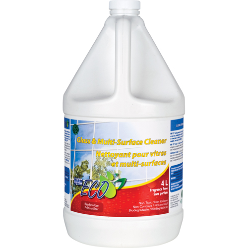 Glass & Multi-Surface Cleaners, 4 L, Jug Trail Hammer and Bolt