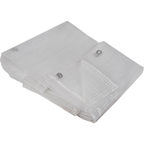 B&acirc;ches transparentes, 10' x 8' x 8 mils Trail Hammer and Bolt