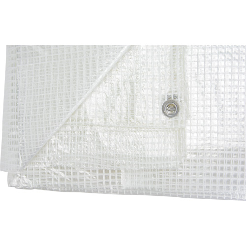 Clear Tarp, 20' x 16' x 8 mils Trail Hammer and Bolt