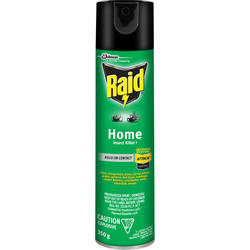 Insecticide pour insectes domestiques Raid, 350 g, &agrave; base de solvant Trail Hammer and Bolt