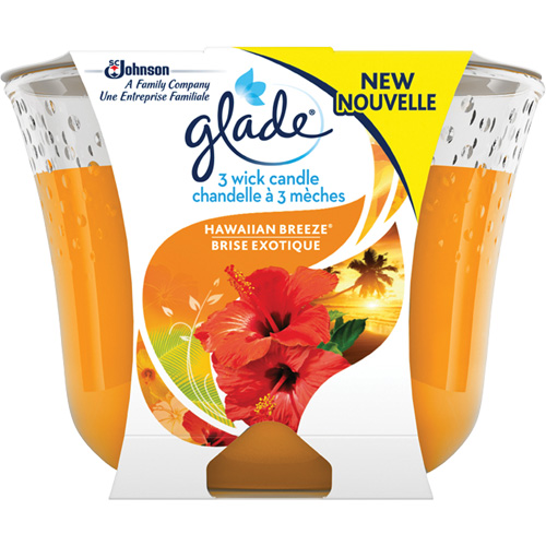 Glade&reg; 3-Wick Candle, Hawaiian Breeze&reg; Trail Hammer and Bolt