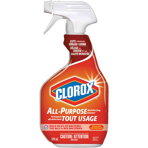 All-Purpose Disinfecting Cleaner Spray, 946 ml, Trigger Bottle Trail Hammer and Bolt