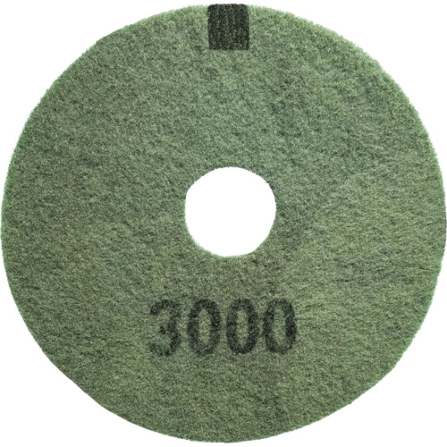 3000 Grit Floor Pad, 17", Scrubbing/Stripping, Black Trail Hammer and Bolt