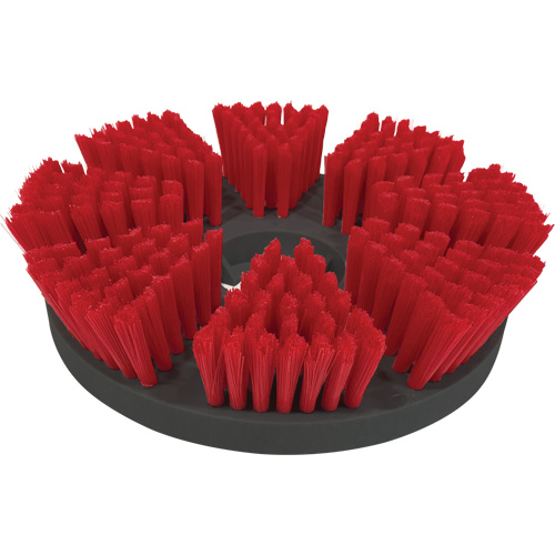 Brosse de nettoyage moyen Trail Hammer and Bolt