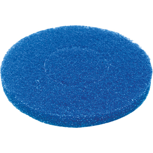 Floor Pad, Cleaning, Blue Trail Hammer and Bolt