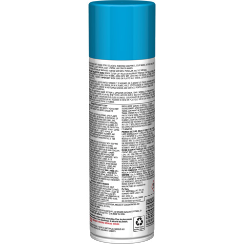 Nettoyant tout usage Pro Line Crazy Clean, 19 oz., Canette a&eacute;rosol Trail Hammer and Bolt