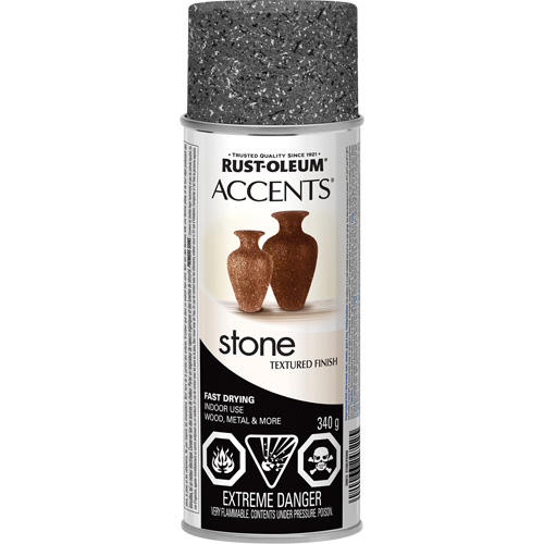 Accents&reg; Stone Creations Spray Paint, Aerosol Can, Grey Stone Trail Hammer and Bolt