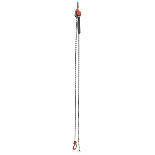 Mini palan &agrave; levier, Lev&eacute;e 10', Cabacit&eacute; 1000 lb (0,5 tonne), Chaîne en Acier Trail Hammer and Bolt