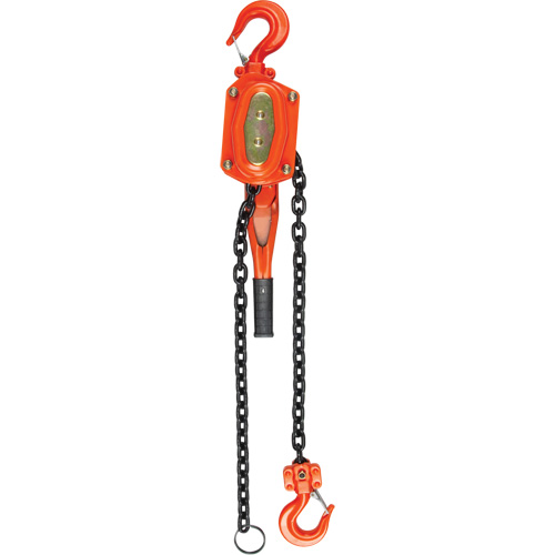 Palan &agrave; levier, Lev&eacute;e 10', Cabacit&eacute; 1500 lb (0,75 tonne), Chaîne en Acier alli&eacute; Trail Hammer and Bolt