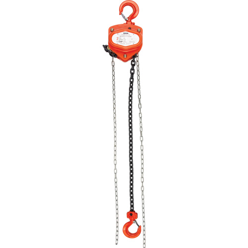Palan &agrave; chaîne, Lev&eacute;e 10', Capacit&eacute; 1000 lb (0,5 tonnes), Chaîne Acier alli&eacute; Trail Hammer and Bolt