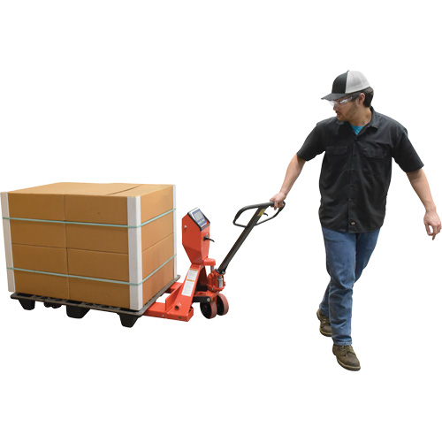 Pallet Truck, 48" L x 27.5" W, 5000 lbs. Cap. Trail Hammer and Bolt