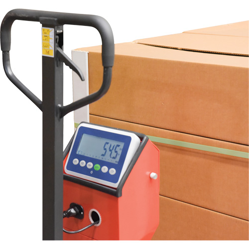 Pallet Truck, 48" L x 27.5" W, 5000 lbs. Cap. Trail Hammer and Bolt