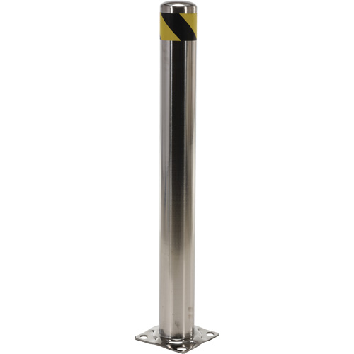 Safety Bollard, Stainless Steel, 42" H x 8" W, Silver Trail Hammer and Bolt