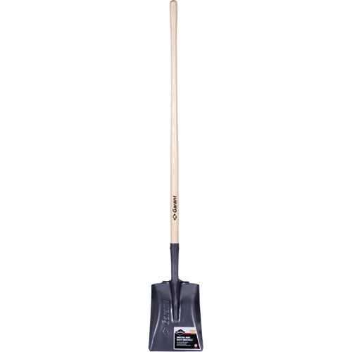 Pro Square Point Shovel, Wood, Tempered Steel Blade, Straight Handle, 48" Long Trail Hammer and Bolt