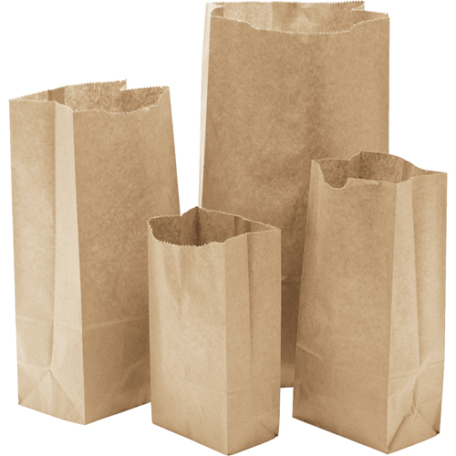 Sacs en papier, Papier, 6" la x 11-0/0" lo Trail Hammer and Bolt