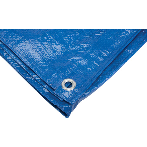 Tarp, Standard Duty, Blue, 7' x 5' x 4 mils Trail Hammer and Bolt