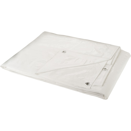 B&acirc;che, Robuste, Blanc, 30' x 20' x 6 mils Trail Hammer and Bolt