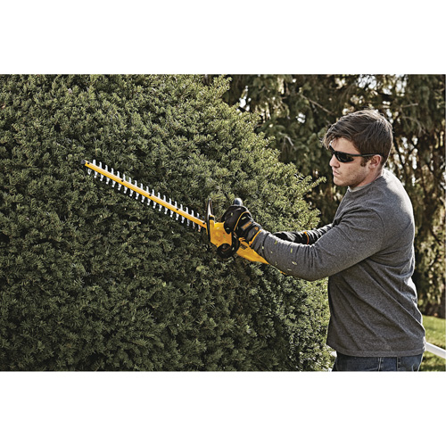 Taille-haie MAX*, 22", 20 V, &agrave; pile Trail Hammer and Bolt