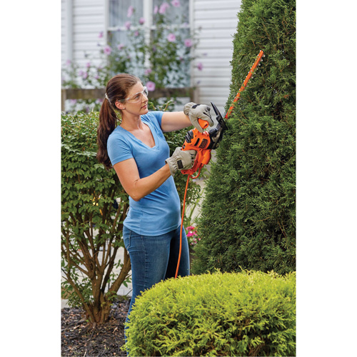 Taille-haie, 16", &eacute;lectrique Trail Hammer and Bolt