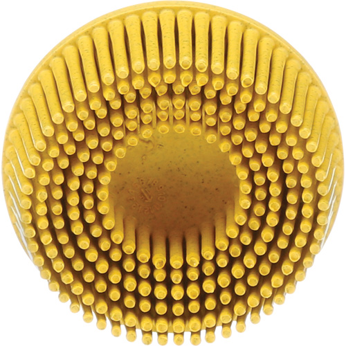 Scotch-Brite Roloc Bristle Disc, Ceramic, Medium Grit, 2" Dia. Trail Hammer and Bolt