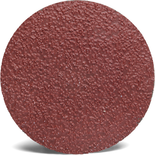 Disque abrasif Roloc 782C 3M, 2" dia., Grain 80+, C&eacute;ramique Trail Hammer and Bolt