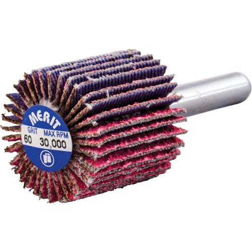 Mini-meule &agrave; lamelles mont&eacute;e sur tige, C&eacute;ramique d'alumine, Grain 60, 1" x 1" x 1/4" Trail Hammer and Bolt